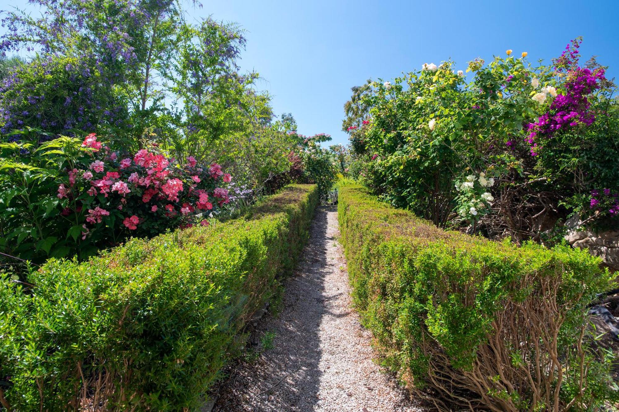 Sardinia Re - Villa Fioretta Flowers Apartments Olmedo Exterior photo